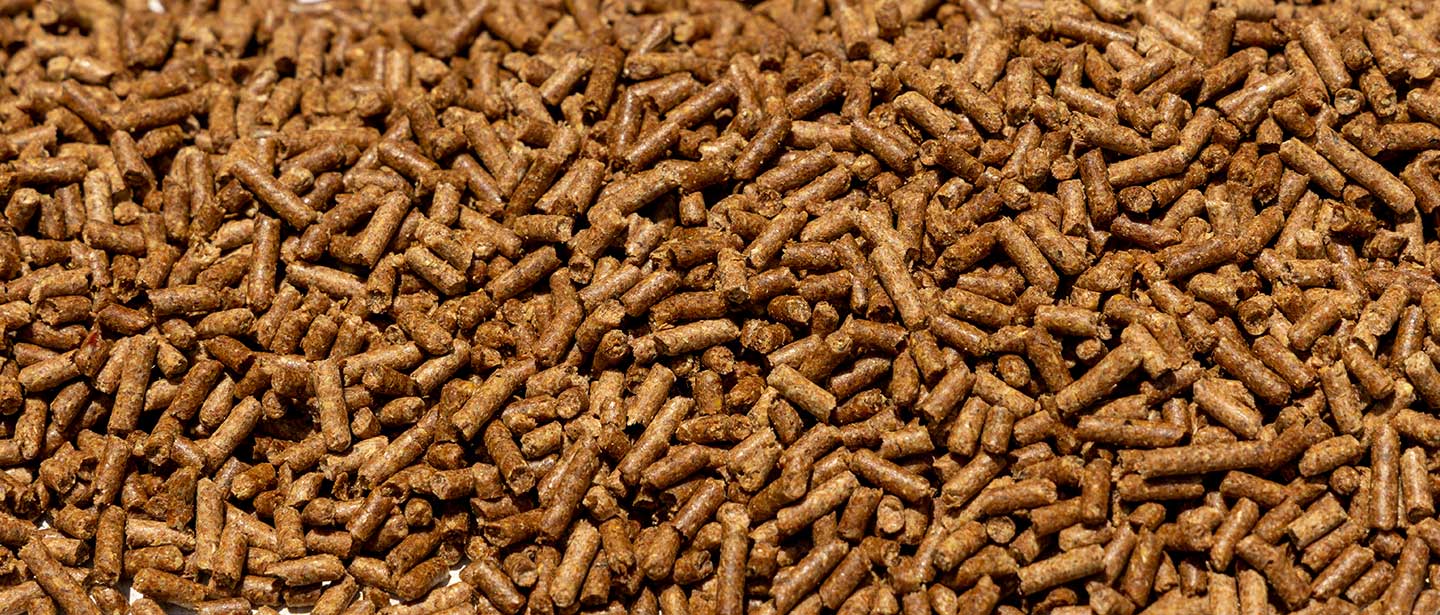 Profecta 14  Pellet