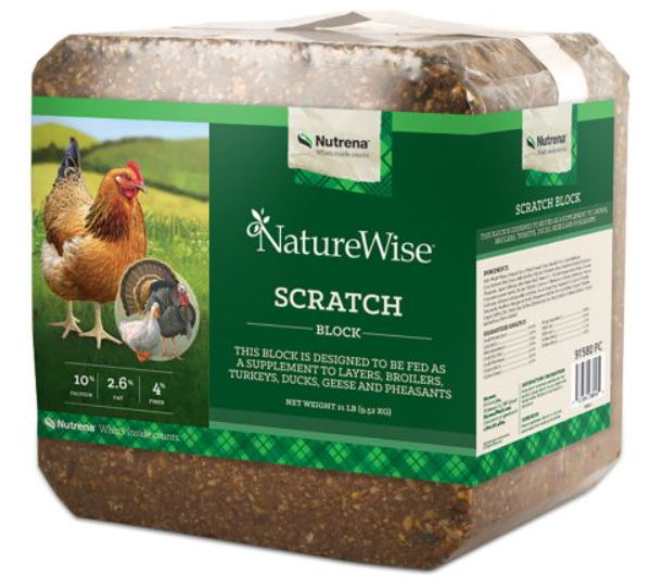 Nature Wise Scratch Blocks