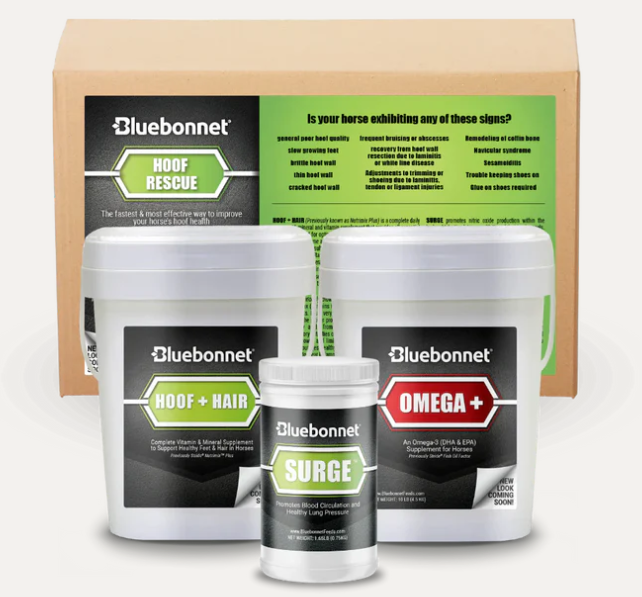 Hoof Health Program