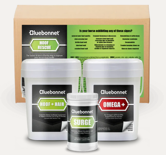Hoof Health Program