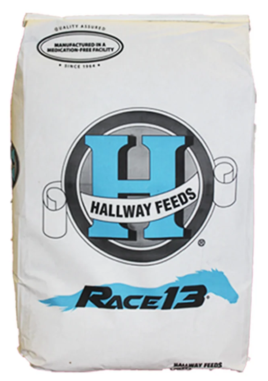 Hallway Race 13