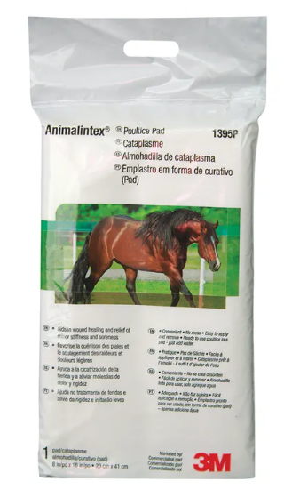 Animalintex Poultice Pad 1ct
