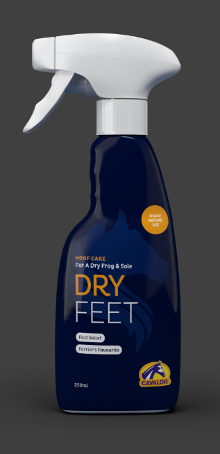 Cavalor Dry Feet