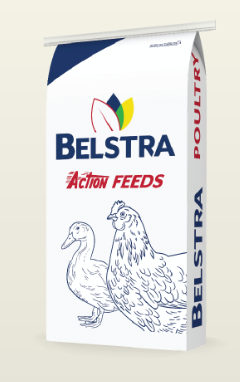 Belstra Action Feeds - Layer Crumble