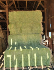3x4x8 Pure Alfalfa Bales