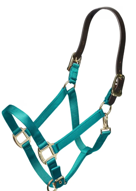 Nylon Halter With Leather Head Strap