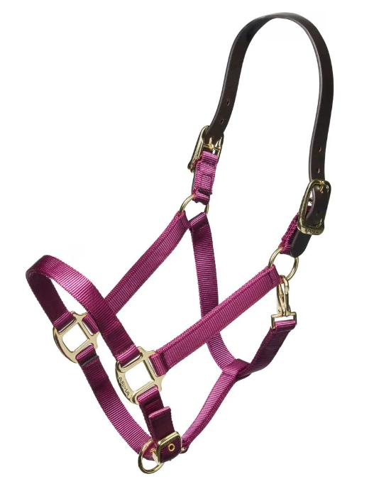 Nylon Halter With Leather Head Strap