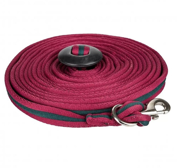 25ft Cushion Web Lunge Line with Loop Handle