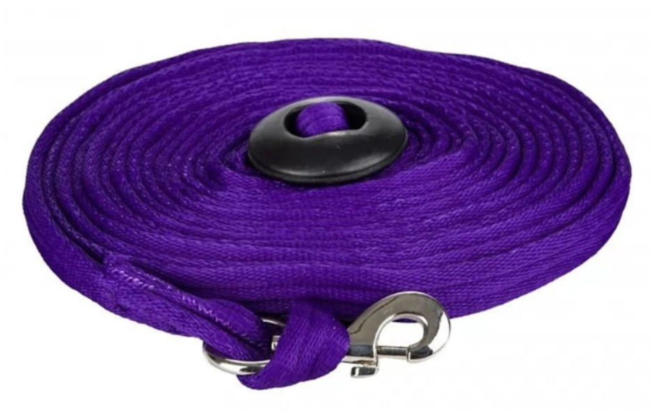 25ft Cushion Web Lunge Line with Loop Handle