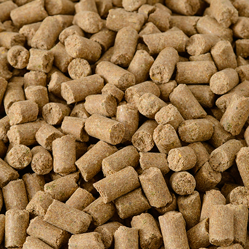 Hallway Staminoats® Horse Feed