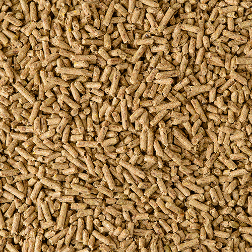 Hallway Stamm 30 High Protein Horse Feed