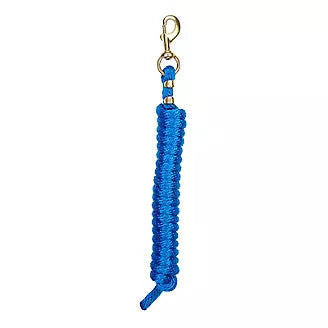 Weaver 10 Ft Nylon Lead