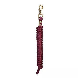 Weaver 10 Ft Nylon Lead