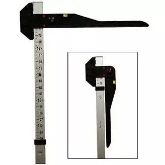 Gatsby horse measuring