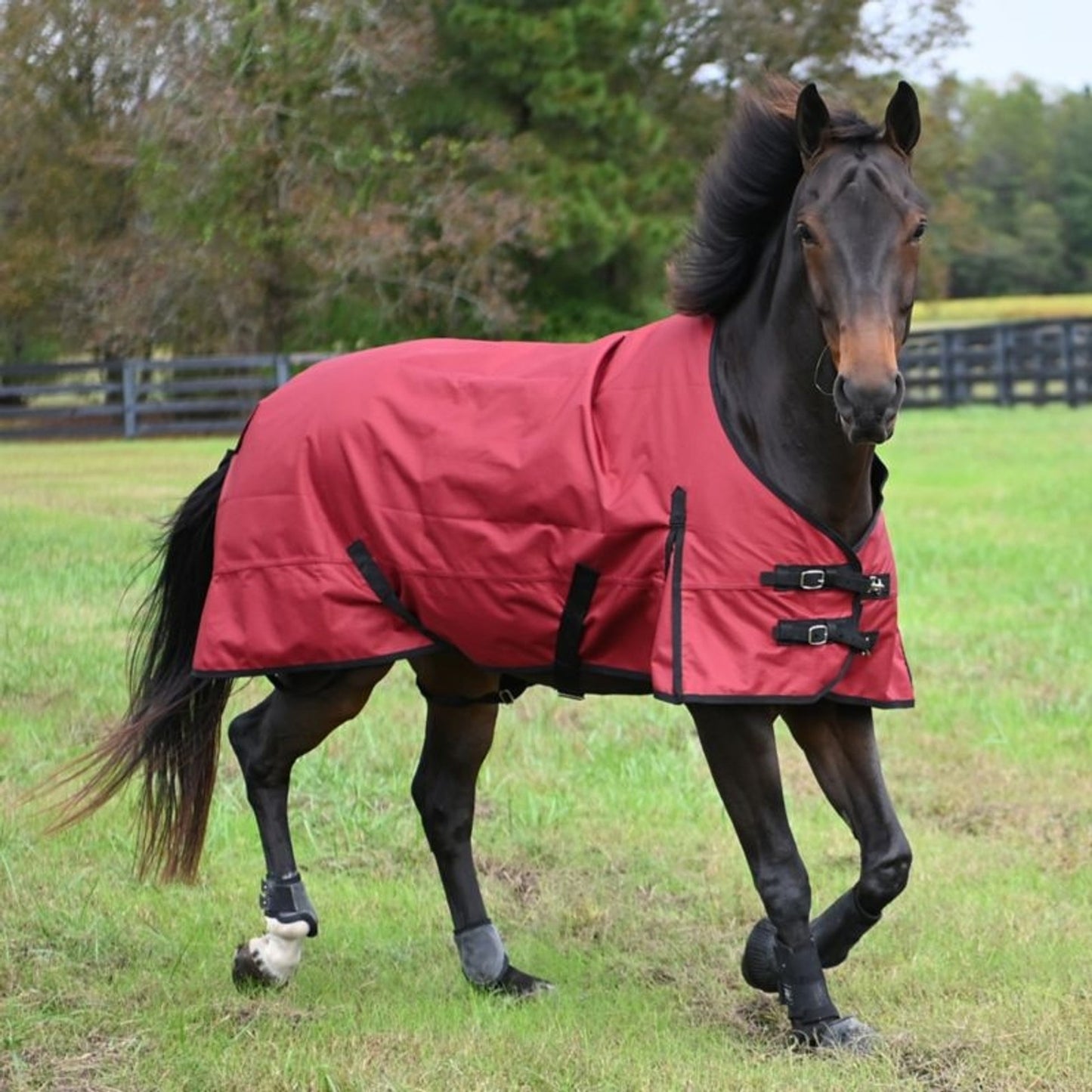 Gatsby Premium 1200D WP Turnout Sheet- Merlot