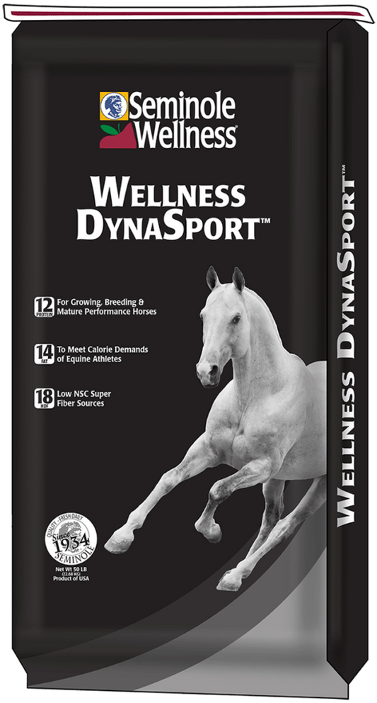 Wellness DynaSport
