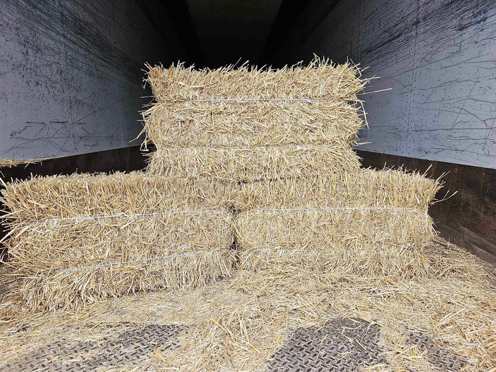 2 String Straw