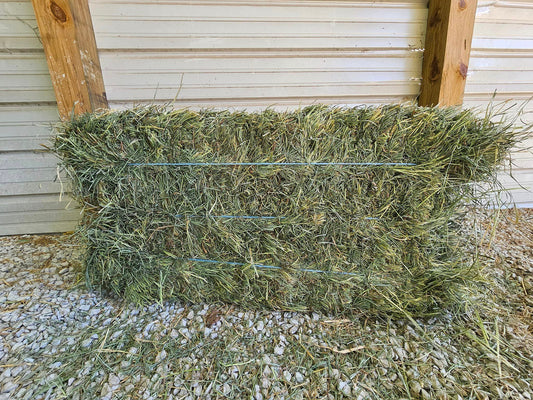 Premium Alfalfa Orchard Grass 3 string