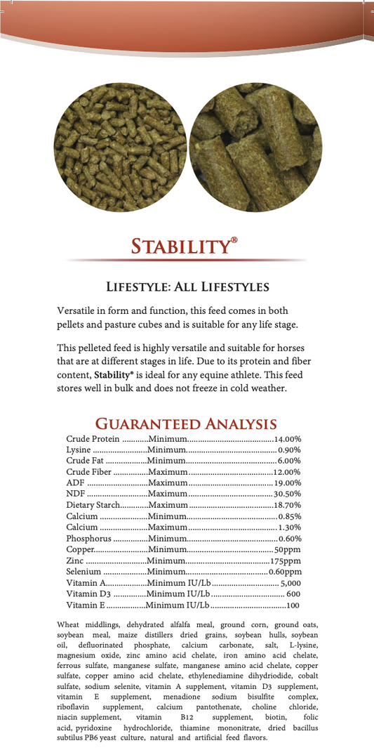 Excel Equine Stability Cube