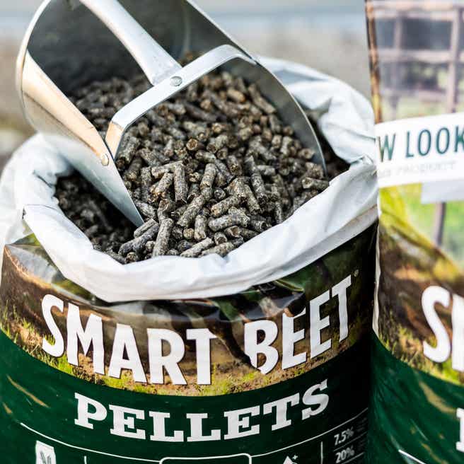 Standlee Premium Products Smart Beet Pellets